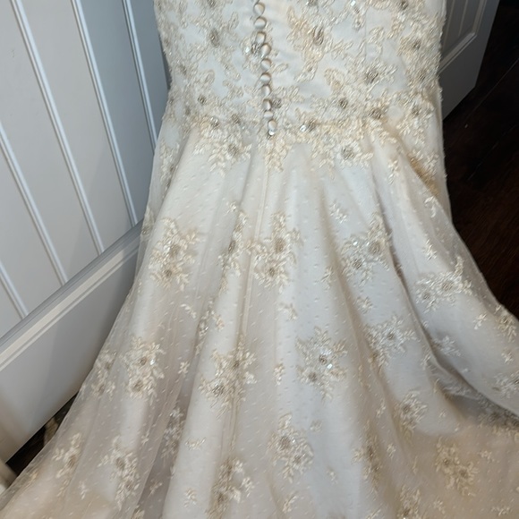 Justin Alexander Wedding Dress - not white - light gold - Picture 17 of 17